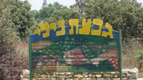 nili.jpg